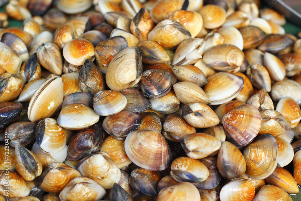 Fresh shellfish at the market Fresh shellfish at the market