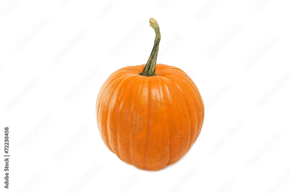 Pumpkin Pumpkin