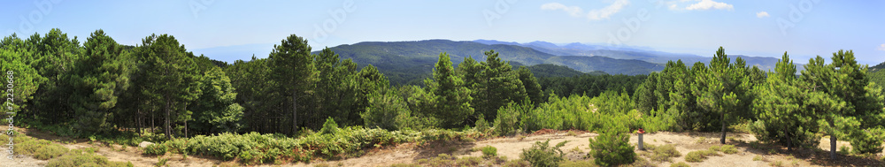 Beautiful panorama of pine trees on a mountain top.