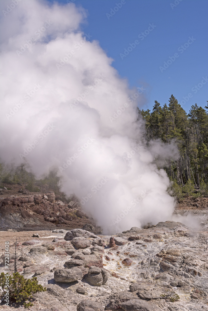 Steam From a Thermal Pool