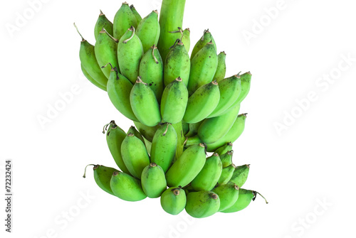 Banana bunch on tree isolated