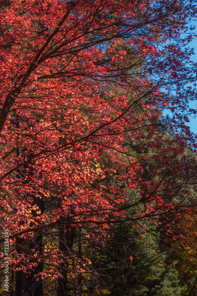 The Breathtaking Beauty and Serenity of Sedona Arizona