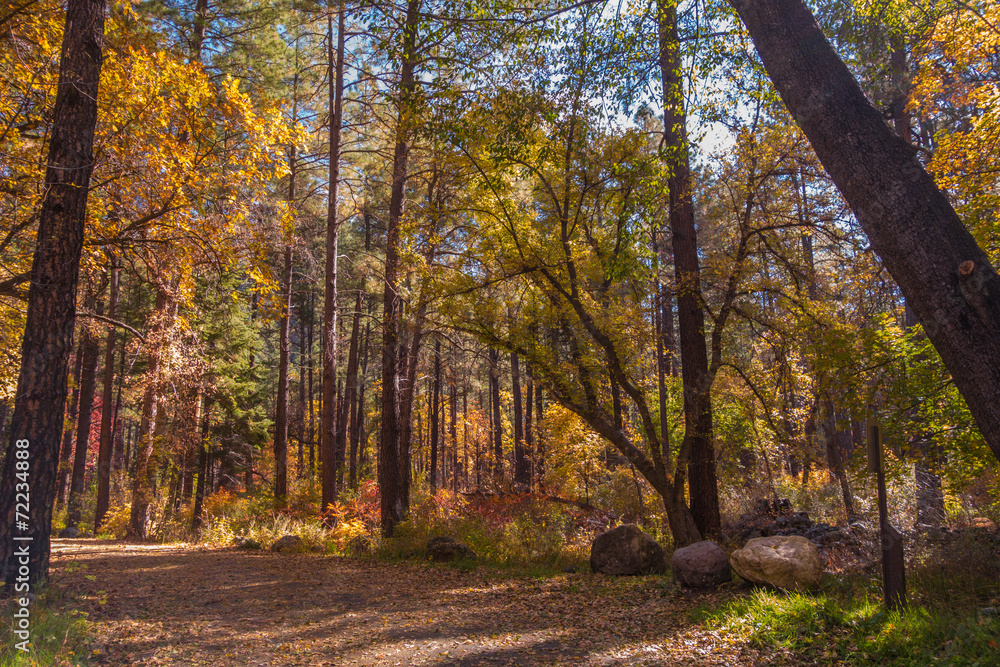 Naklejka premium Zapierające dech w piersiach piękno i spokój Sedony w Arizonie