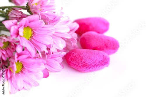 valentine heart fabric with pink chrysanthemum- Stock Image