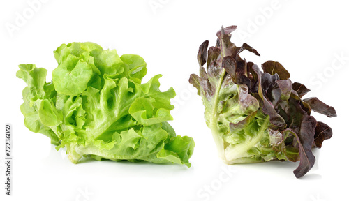 green and red lettuce isolated on white background