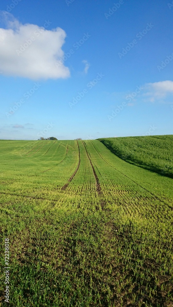 Traktor spuren im Feld Traktor spuren im Feld