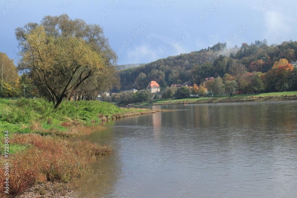 Herbstliches Elbufer bei Königstein Herbstliches Elbufer bei Königstein