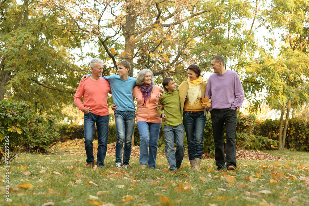 walk a large family walk a large family