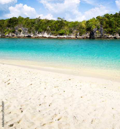 beach and tropical sea