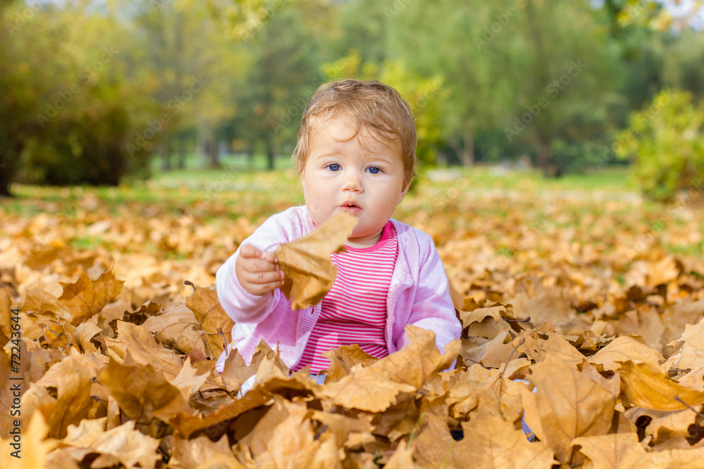 baby playing with autumn leaves baby playing with autumn leaves