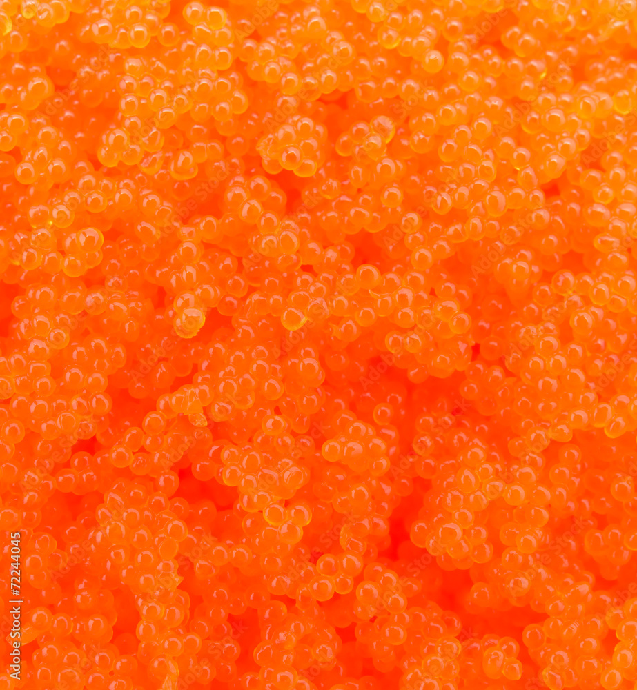 Egg shrimp background Egg shrimp background