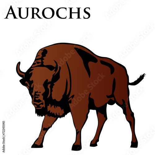 Vászonkép brown aurochs illustration