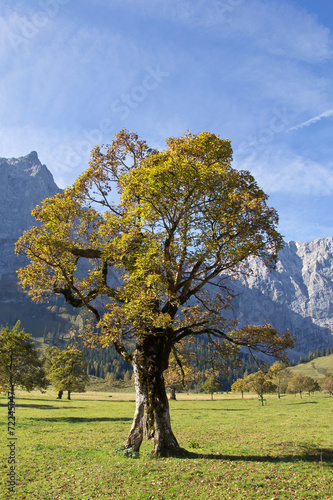 Tirol, GroÃŸer Ahornboden bei den Engalmen