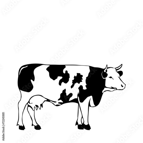 black and white cow vector illustrator
