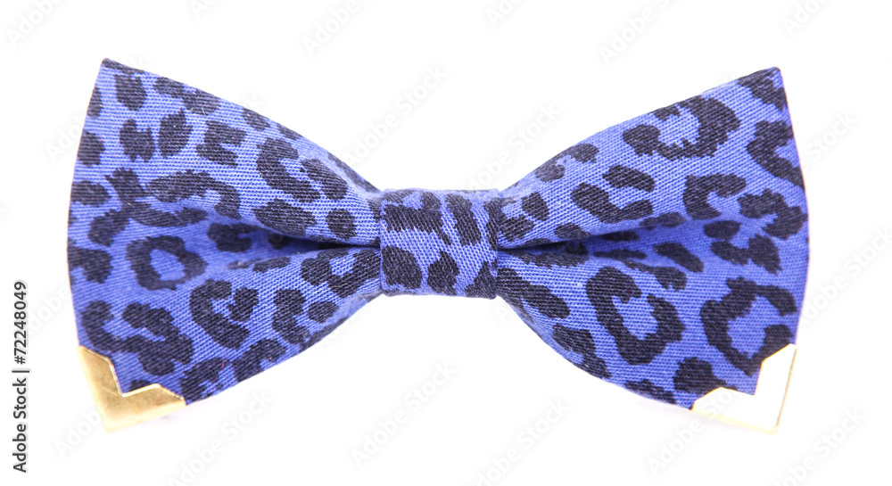 blue bow tie with leopard skin print blue bow tie with leopard skin print