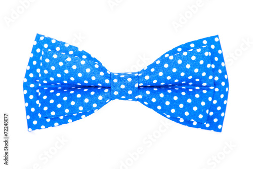 blue bow tie with white polka dots