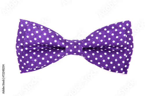purple bow tie with white polka dots