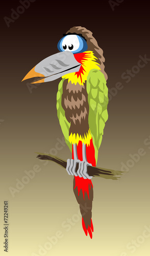 parrot on branch