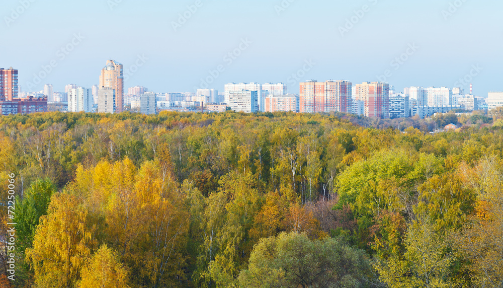 Obraz premium view of autumn forest and city