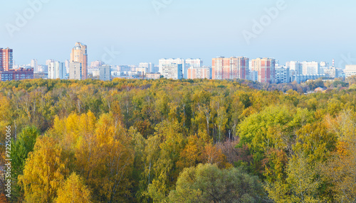 view of autumn forest and city