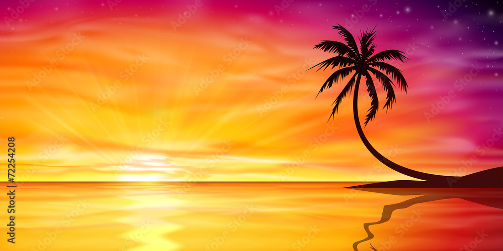 Obraz premium Zachód słońca, wschód słońca z palmą
