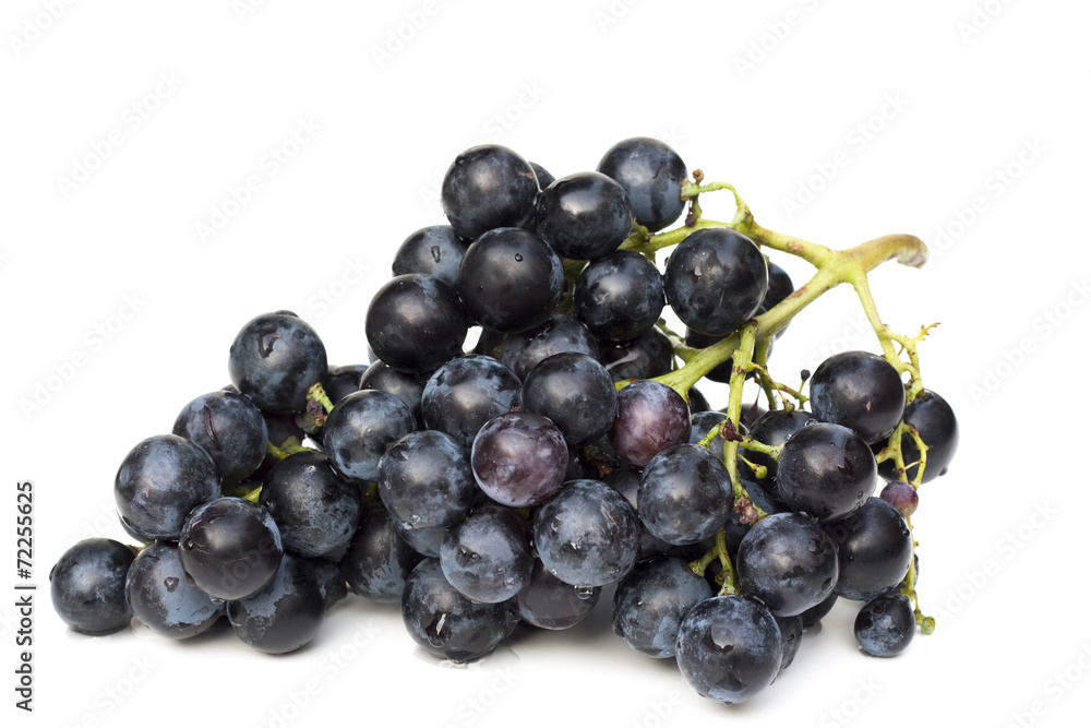 Blue grape cluster isolatel on white background