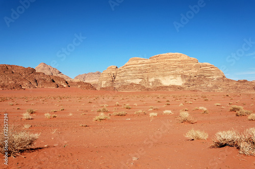 Arid landscape in Wadi Rum desert  Jordan.