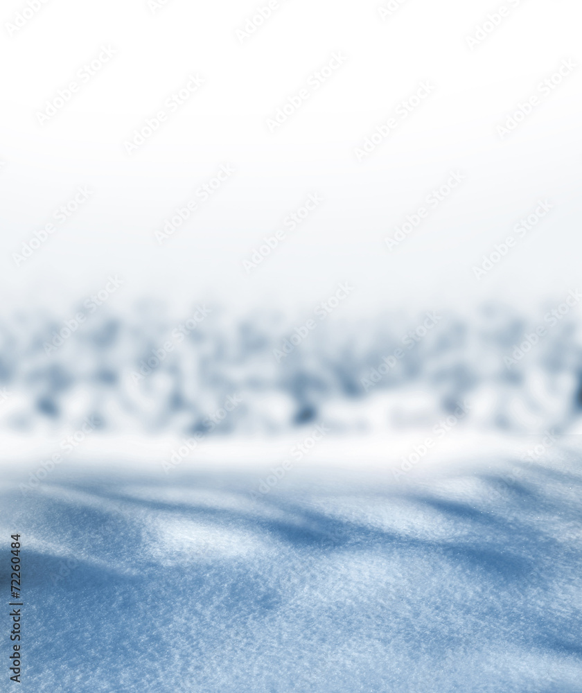 Obraz premium winter forest