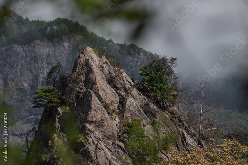 Obraz na plátně mountain rocks and trees