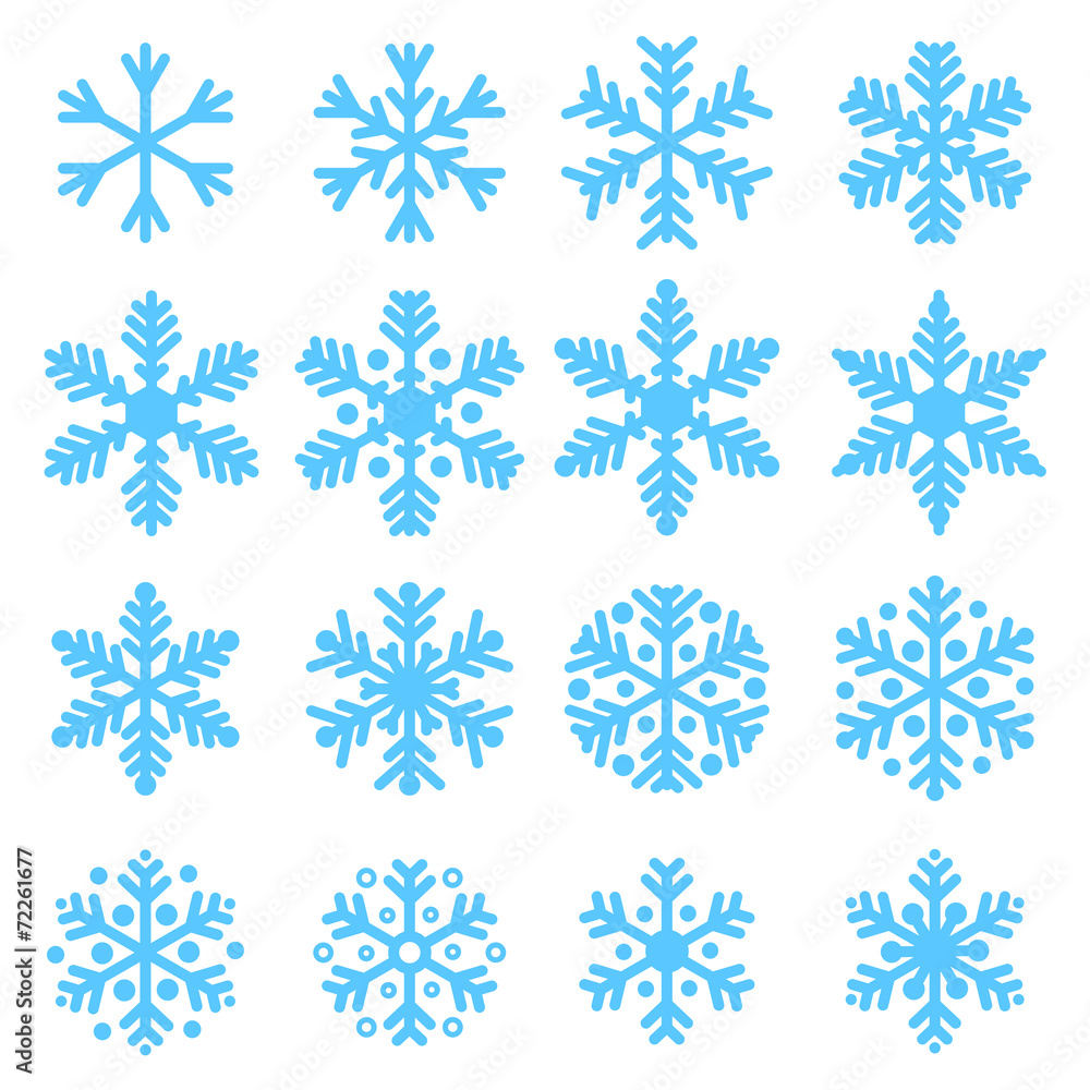 Various snowflakes - obrazy, fototapety, plakaty 
