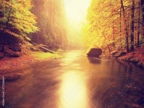 Vivid colors of  autumn mountain river 