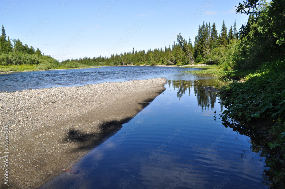 Northern taiga river on a Sunny day.