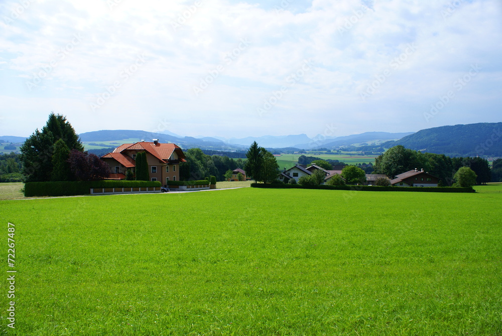 Bavarian summer  landscape