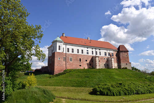 Zamek w Sandomierzu 2
