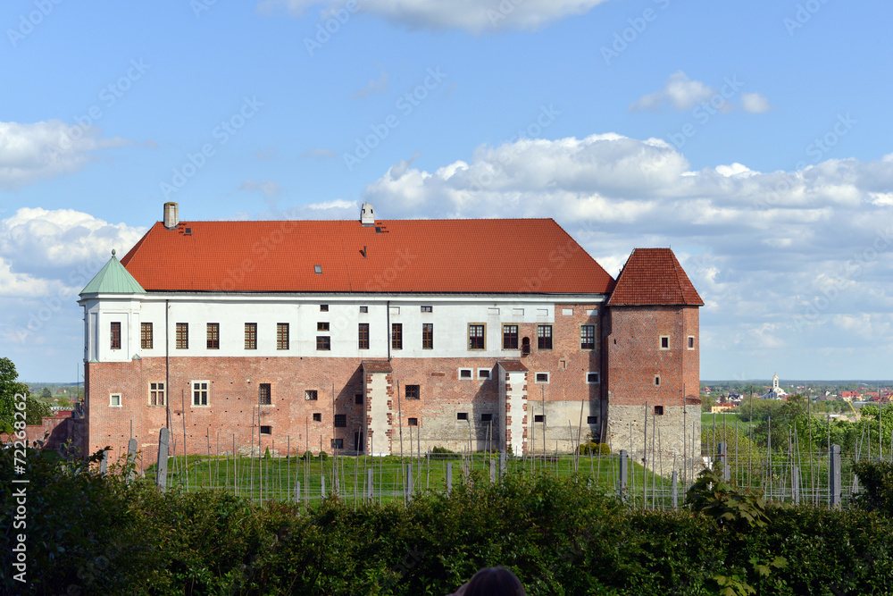 Zamek w Sandomierzu 4