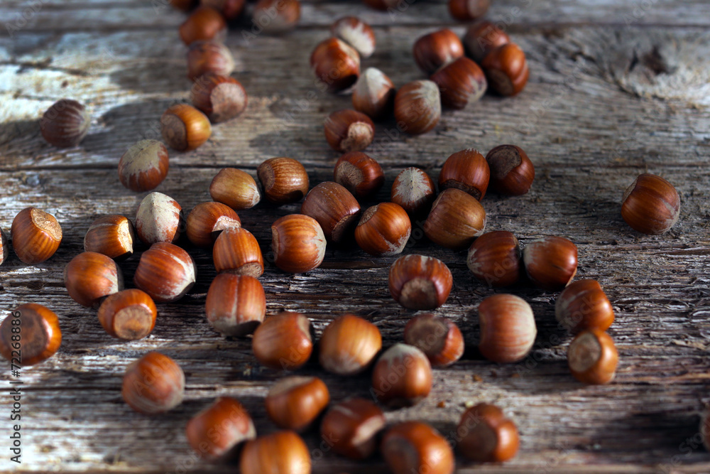Hazelnuts in shells on the wooden desk, outdoors forest sunlight Hazelnuts in shells on the wooden desk, outdoors forest sunlight