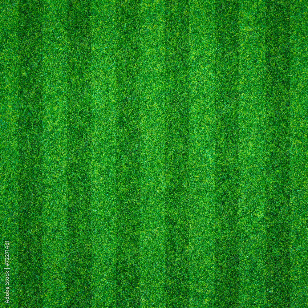 Naklejka Green grass background