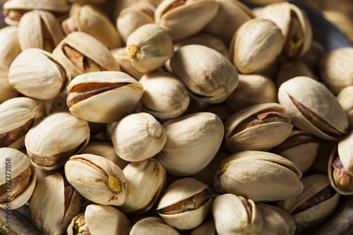 Raw Organic Pistachio Nuts