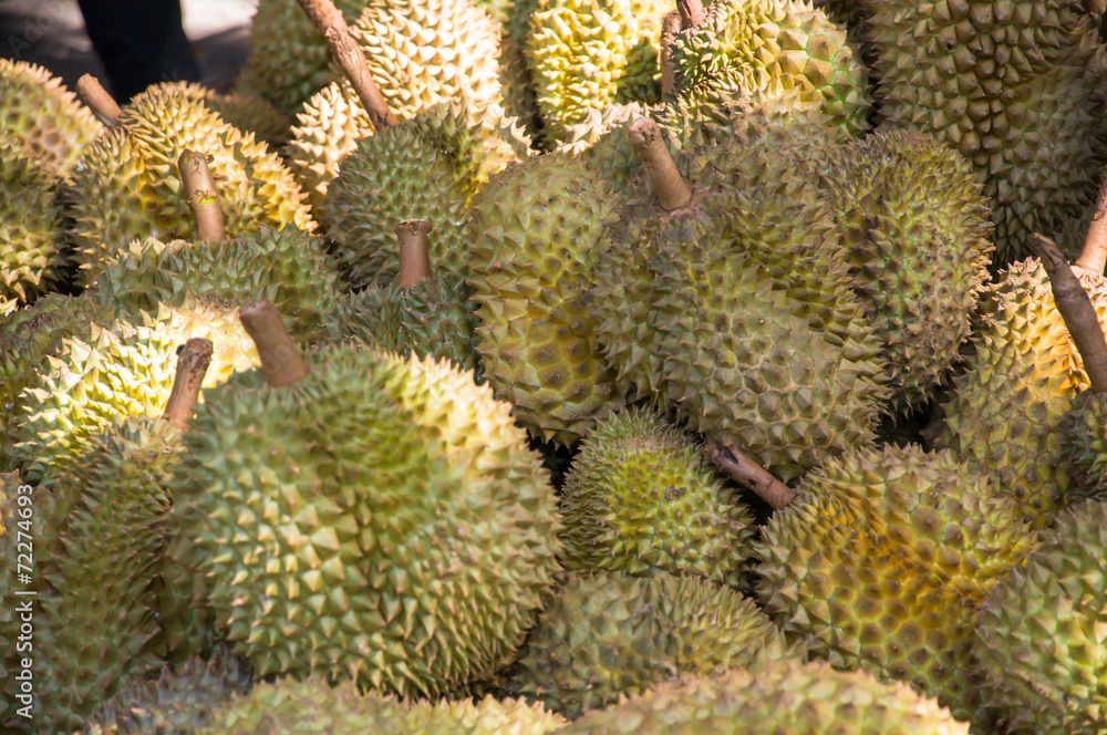 Durians, King of Fruits Durians, King of Fruits