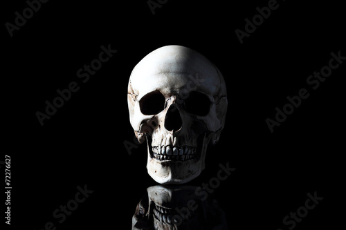 Realistic model of a human skull with teeth