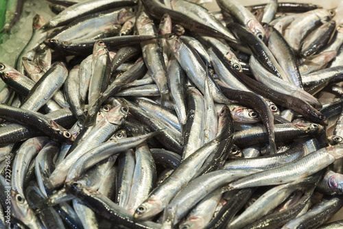 fresh sardines