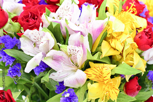 Colorful Flowers Bouquet Isolated on the White Background