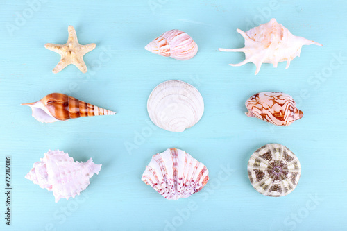 Sea souvenirs on light blue background