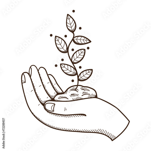 Human hand with leaves.