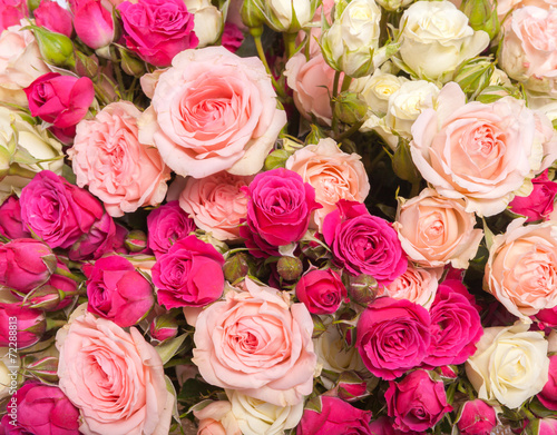 Abstract background of flowers. Close-up.