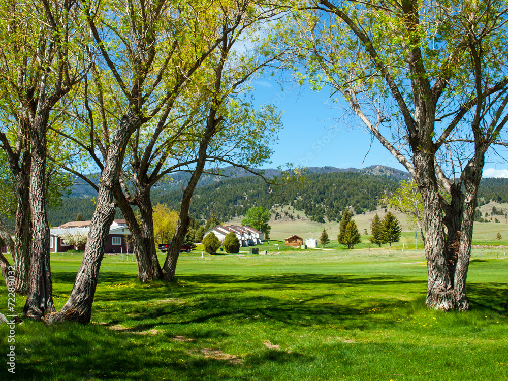 Trees Framing a Rural Country Scene in Montana USA Trees Framing a Rural Country Scene in Montana USA