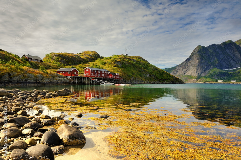 Naklejka premium Norwegia , krajobraz wiejski
