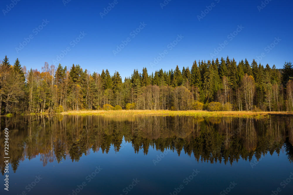 autumn landscape - lake and autumnal forest