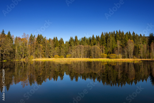 autumn landscape - lake and autumnal forest © Vera Kuttelvaserova
