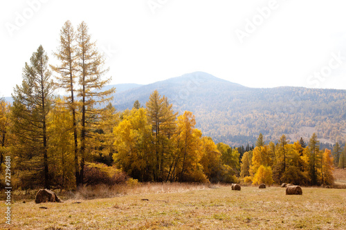 haystacks autumn in Altai